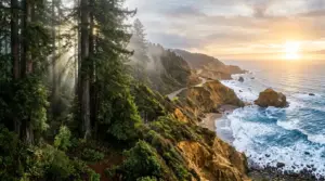 Redwood forest and ocean bluffs